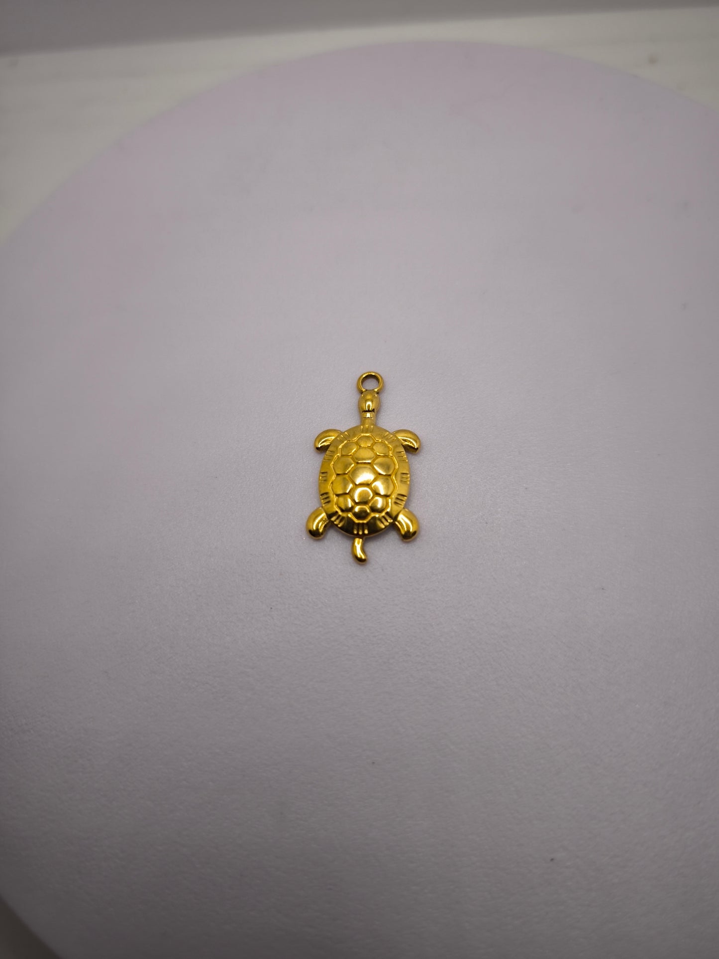 Tortue dorée