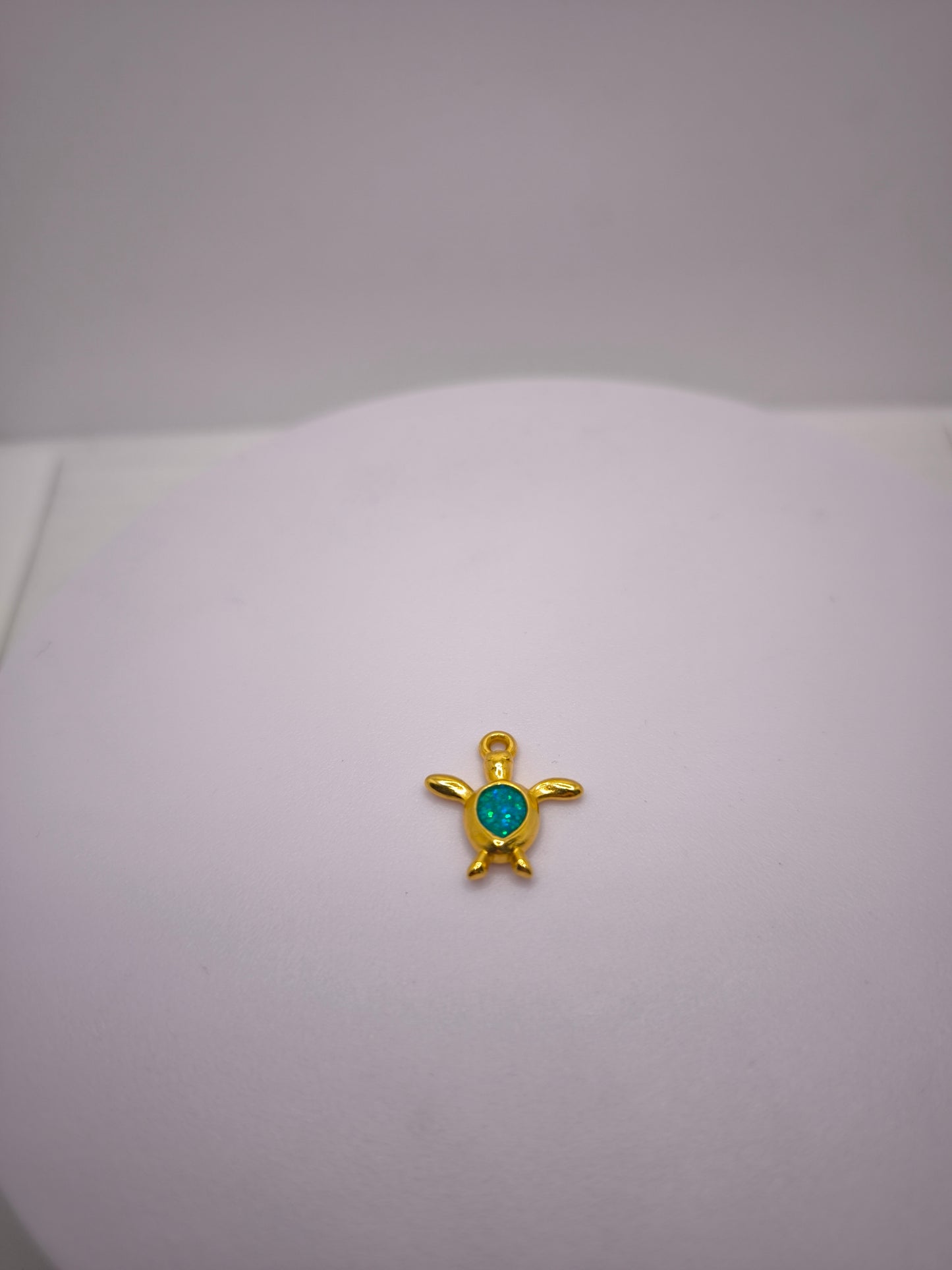 Tortue turquoise