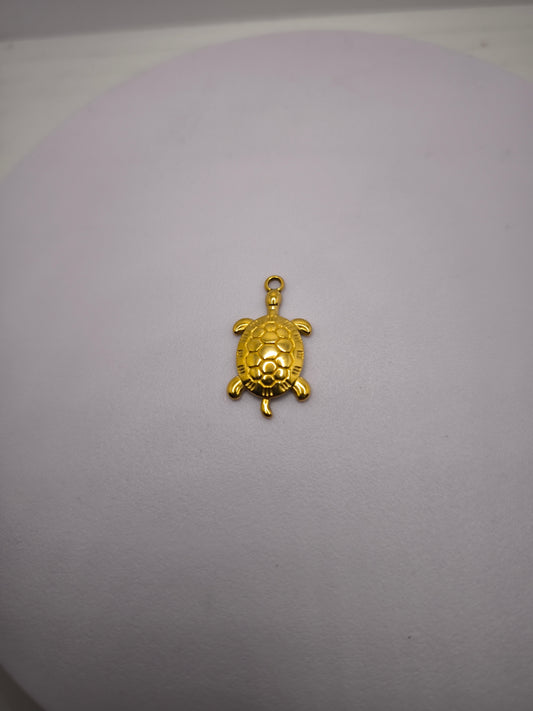 Tortue dorée