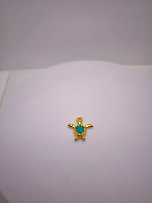 Tortue turquoise