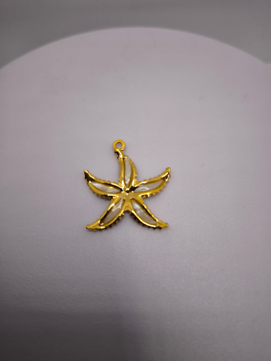 Étoile de mer